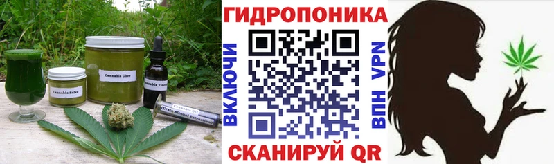 Печенье с ТГК конопля сколько стоит Сунжа