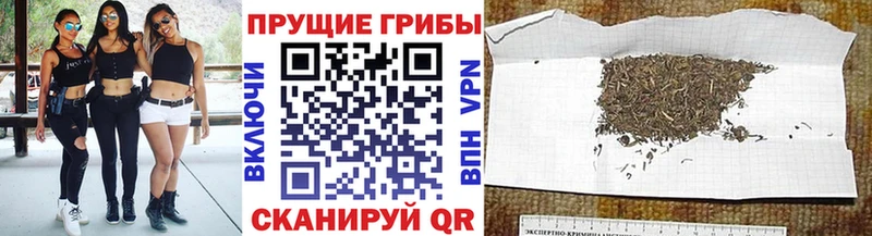 Галлюциногенные грибы GOLDEN TEACHER  Сунжа 